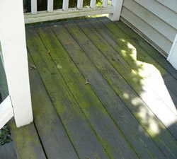 residential power washing before pic 1